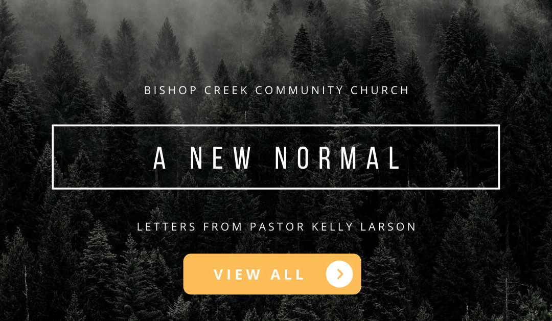 A New Normal – Letters from Pastor Kelly Larson